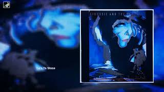 Turn To Stone by  Siouxsie and the Banshees