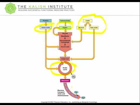 Intro to Organic Acid Testing  Part 1