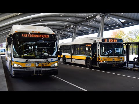 BUSES OF 2021 EPISODE 15