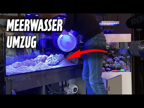 Saltwater aquarium COMPLETE SET 360 liters PART 2 / Setting up the technology, moving corals, Pla...