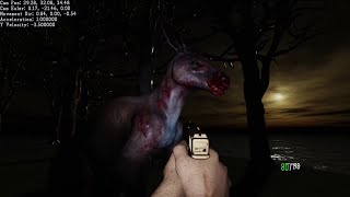 OpenGL Kangaroo Stream Hype Video