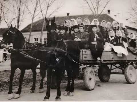Ivan Štivić - TS Salaš "Nema stana" @ivanstivicofficial