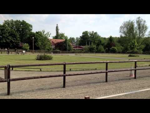 Kronshof am 22. Mai - bereit für's Special 2012