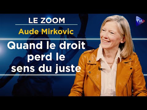 Le droit naturel, une ressource contre l’arbitraire - Le Zoom - Aude Mirkovic - TVL