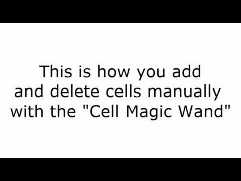 Neural Activity Analysis Plugin for Fiji/ImageJ