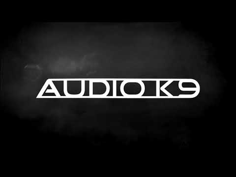 Swedish House Mafia - Rushin Vs. Raise Your Hands Vs. Flash Vs. In The Air (Audio K9 Mashup)