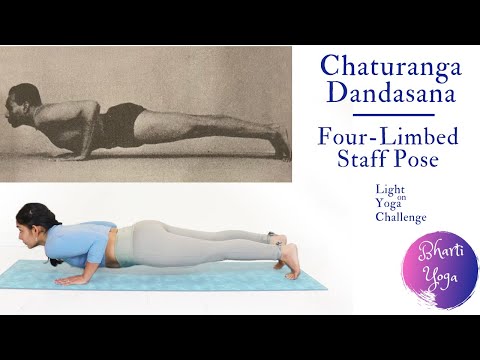 How to do Chaturanga Dandasana | Four Limbed Staff Pose | Light on Yoga Challenge | Iyengar Yoga