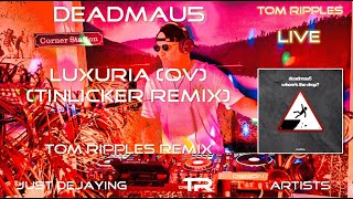 DEADMAU5 - LUXURIA (OV) (TINLICKER REMIX) (LIVE REMIX MUSIC VIDEO)