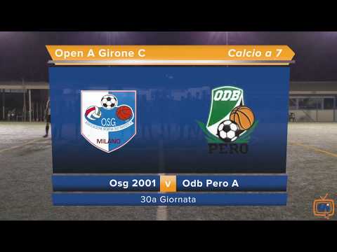 Sintesi Osg 2001 - Odb Pero A