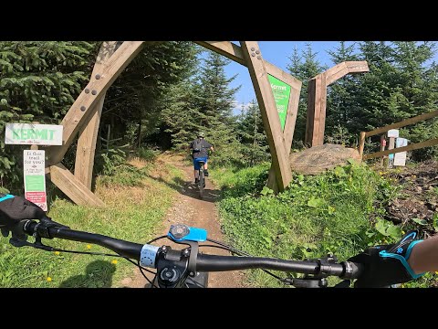 Bike park Wales full Kermit run