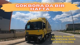 Yurtiçi ve Yurtdışı Maaşları | 2025 Güncel | Meslek Hakkında Sohbet
