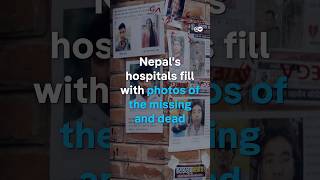 Devastating floods kill hundreds in Nepal as families search hospitals for missing loved ones