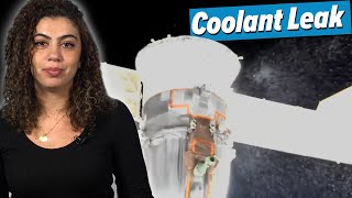 Docked Soyuz Spacecraft Spews Coolant! | Astronauts stranded?