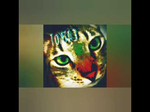 XAVI3R3 - Apocalypse