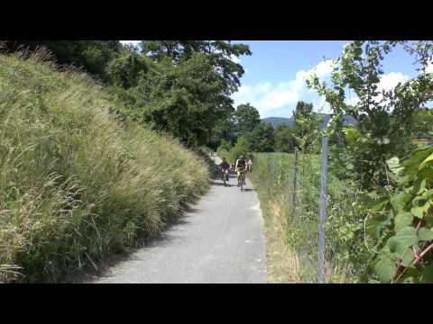 Dunajská cyklotrasa 2013 časť 2