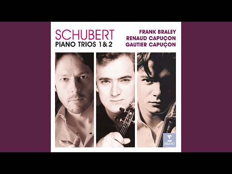 Piano Trio No. 1 in B-Flat Major, Op. 99, D. 898: II. Andante un poco mosso