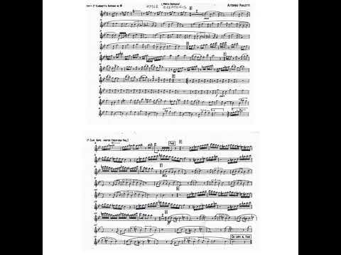 Mater Creatoris - Alterisio Paoletti (Marcia sinfonica)