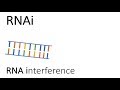 RNAi - RNA interference