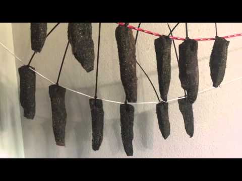 download lagu mp3 mp4 How To Dry Biltong, download lagu How To Dry Biltong gratis, unduh video klip How To Dry Biltong