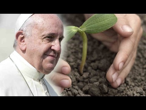 Click to Watch the Pope Francis makes a surprising suggestion on World Day of Prayer for Care of Creation video Click to Watch the Pope Francis makes a surprising suggestion on World Day of Prayer for Care of Creation video