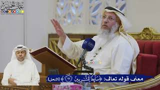 499- معنى قوله تعالى: ﴿سائغا للشاربين﴾ - عثمان الخميس