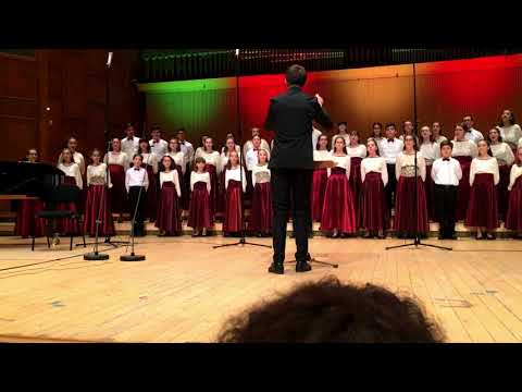 Peisaj de iarnă - Vasile Timiș HD Audio