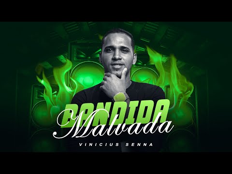 VINICIUS SENA - BANDIDA MALVADA - LYRIC VIDEO