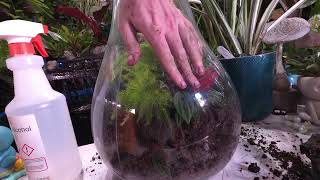 Mountain Side Vase Terrarium