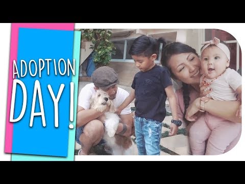 Adoption Day: We got a new puppy!