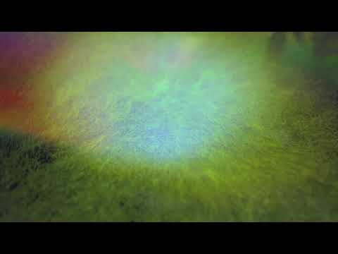 Alan Watts & Boreta & Superposition | Listen, Dream | Dream