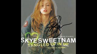 Skye Sweetnam - Too Late (Official Audio)