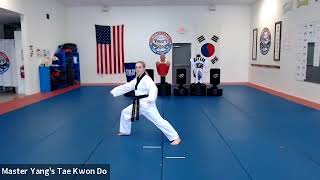 Live Class - Yellow Belt - 5.5.20 @ 5:30pm