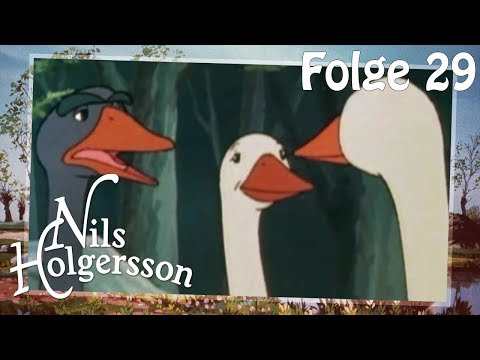 Nils Holgersson 🌱  Folge 29: Flügelschön und Goldauge 🌱 Die Klassik-Serie