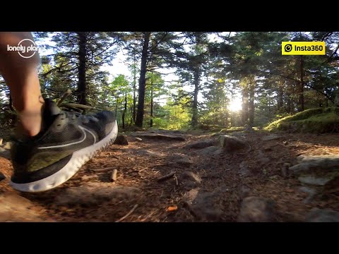 Insta360で究極のロードトリップ (Ultimate Road Trip with Insta360)