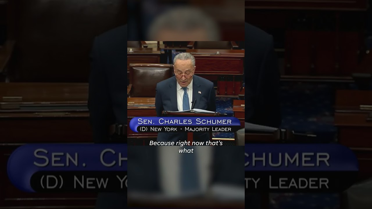 Senator Schumer issues warning against rising antisemitism #Shorts