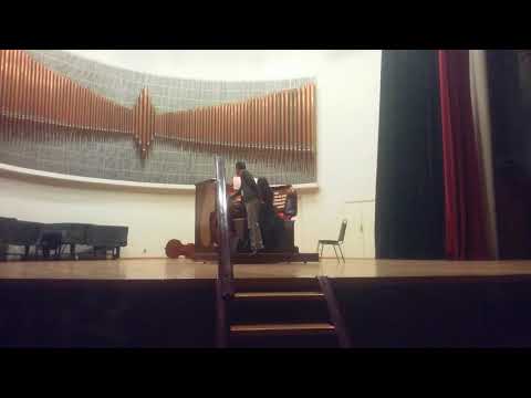 Variaciones sobre "Mein junges Leben"  Jan Pieterzoon Sweelinck 1562-1621