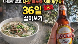 베트남하노이실시간#맥주거리#호안끼엠호수#혼술#먹방#korean#mukbang#parkmadam