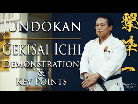Goju-ryu Karate Kata | Gekisai Ichi | Okinawa Karate Grand Master | Ageshio Japan
