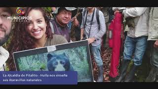 TV MUNICIPIOS – PITALITO EXALTA SUS ATRIBUTOS NATURALES EN LA VIGÉSIMA CUMBRE DEL MACIZO COLOMBIANO