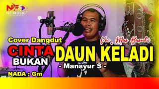 Download lagu CINTA BUKAN DAUN KELADI - Cover Mas Basuki @NFMusicChannel mp3