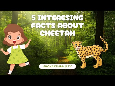 5 Interesting Facts about Cheetah #kidslearning #youtubekids #wildanimals
