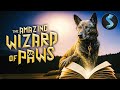 Magical Dog Has 600 Year Old Secret Fantasy Adventure Full Movie The Amazing Wizard Of Paws