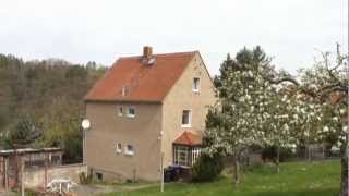 preview picture of video 'Einfamilienhaus mit super Grundstück im Müglitztal'