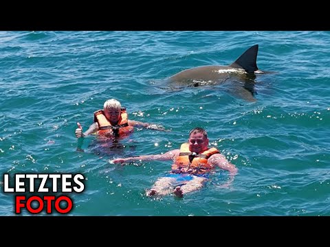 The 5 Dumbest Shark Attacks Ever Recorded!