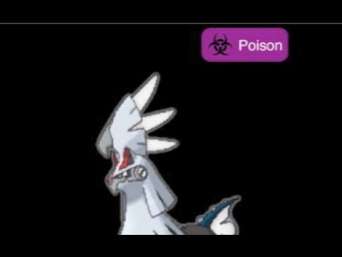Click to play Video