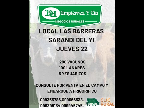 22/1/2026  Local Las Barreras - Sarandi del Yi - Umpierrez y Cía Negocios Rurales