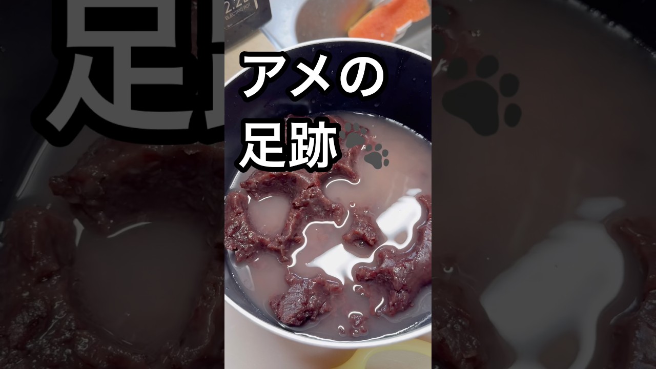 ばあちゃん👵はラーメン🍜孫はぜんざい⁉️#ばあちゃん #ばあちゃん大好き #ばあちゃんの料理教室 #shorts #short