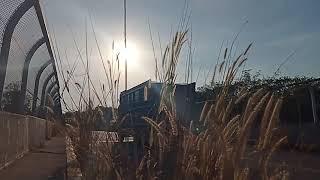 Download lagu STORY WA SENJA ||tak eling eling|| #senja #shorts mp3 Download lagu STORY WA SENJA ||tak eling eling|| #senja #shorts mp3