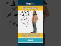 birdwatching (noun) - definition and usage in English