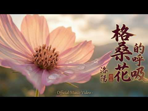 影片縮圖
